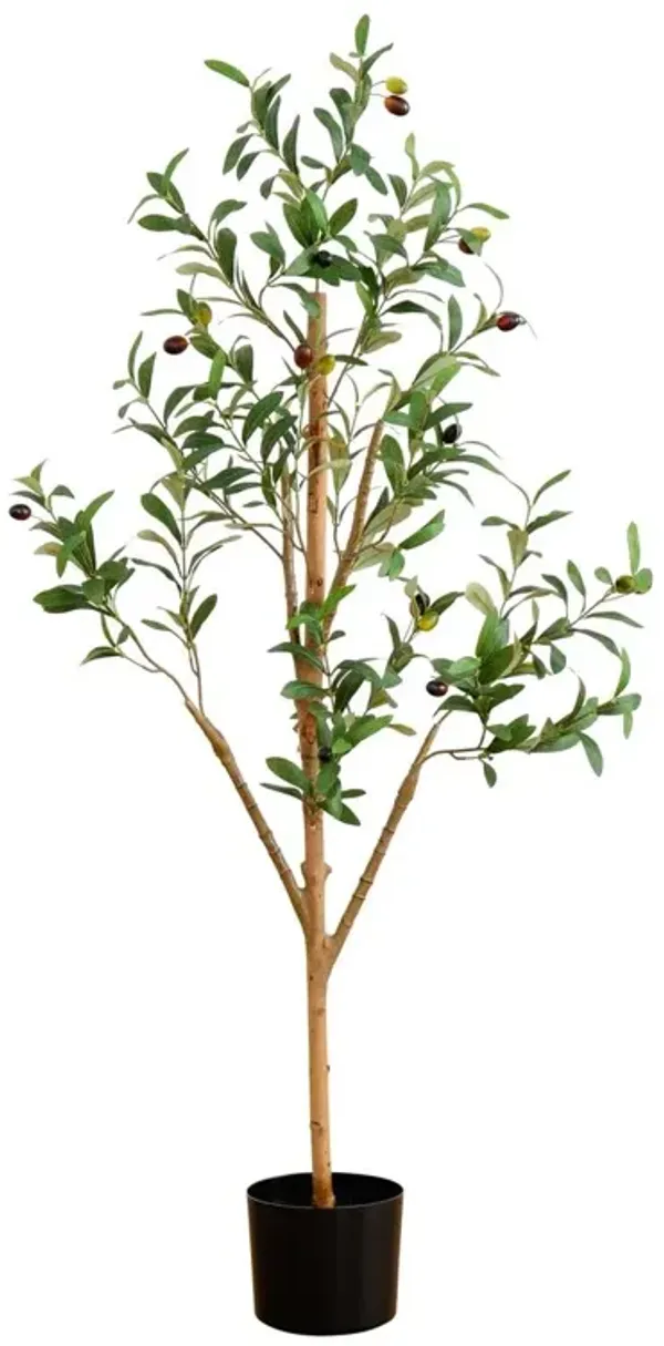 4ft. Artificial Olive Tree with Natural Trunk