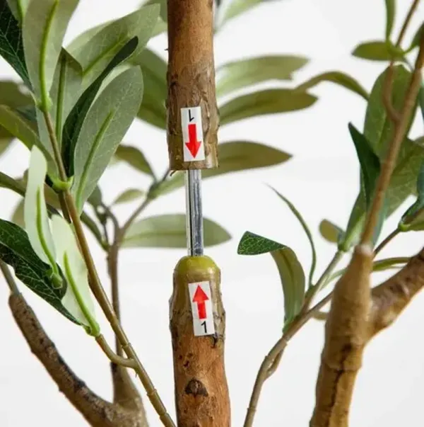 5ft. Artificial Olive Tree with Natural Trunk - Green