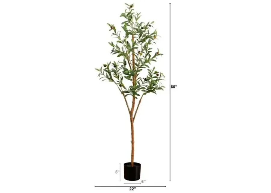 5ft. Artificial Olive Tree with Natural Trunk - Green