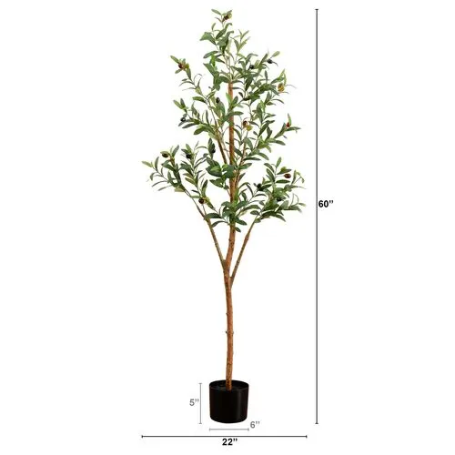 5ft. Artificial Olive Tree with Natural Trunk - Green