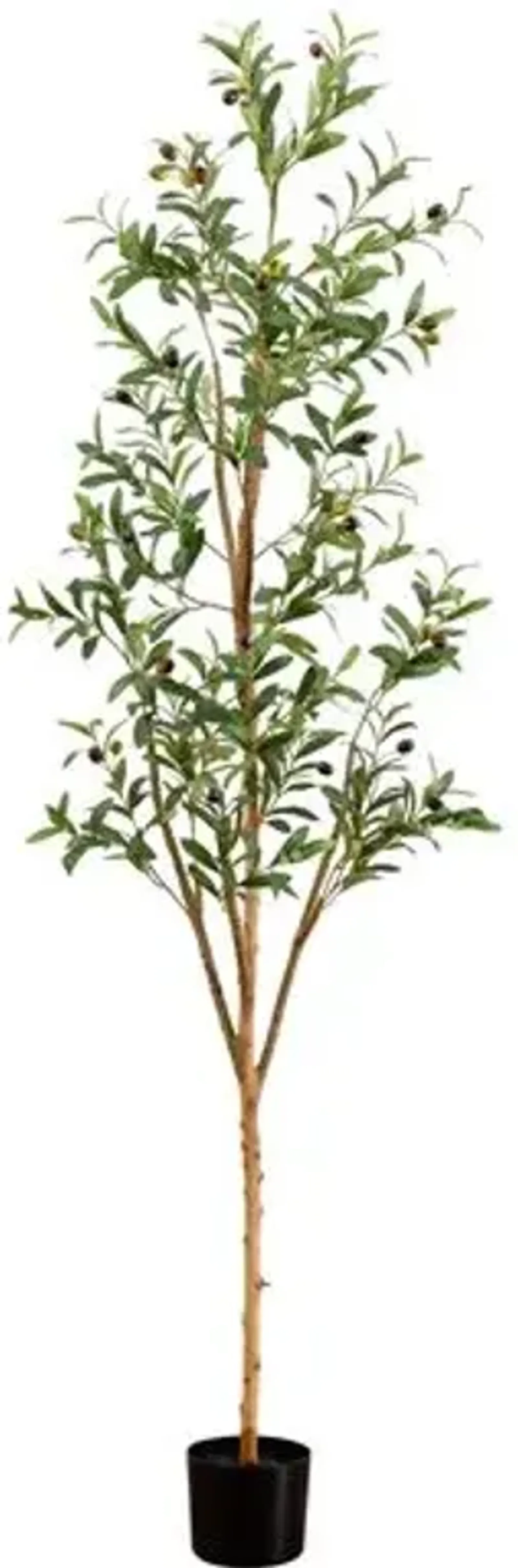 6ft. Artificial Olive Tree with Natural Trunk - Green