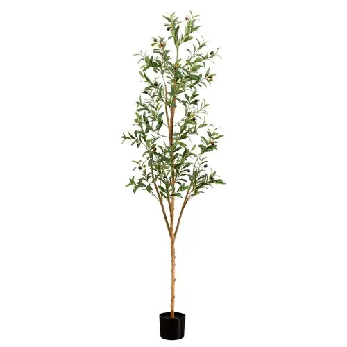 6ft. Artificial Olive Tree with Natural Trunk - Green