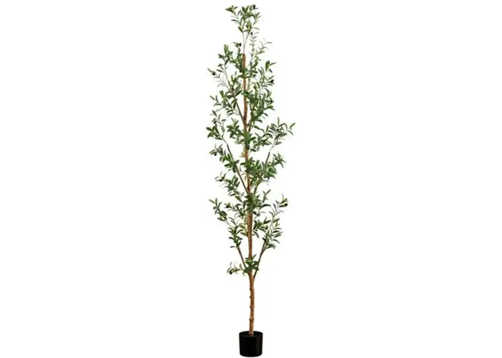 8ft. Artificial Olive Tree with Natural Trunk - Green