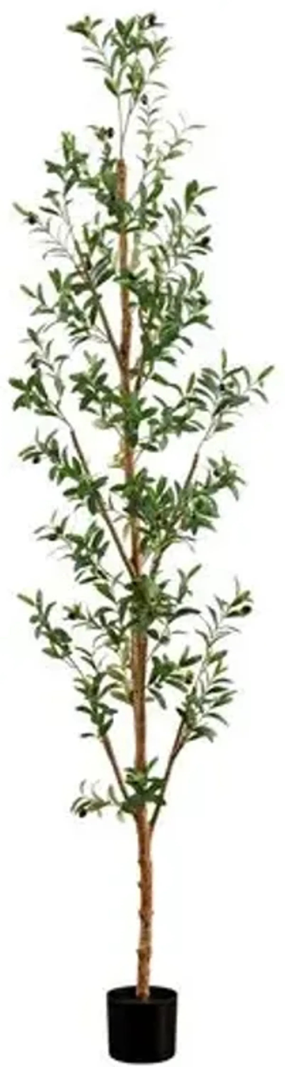 8ft. Artificial Olive Tree with Natural Trunk - Green