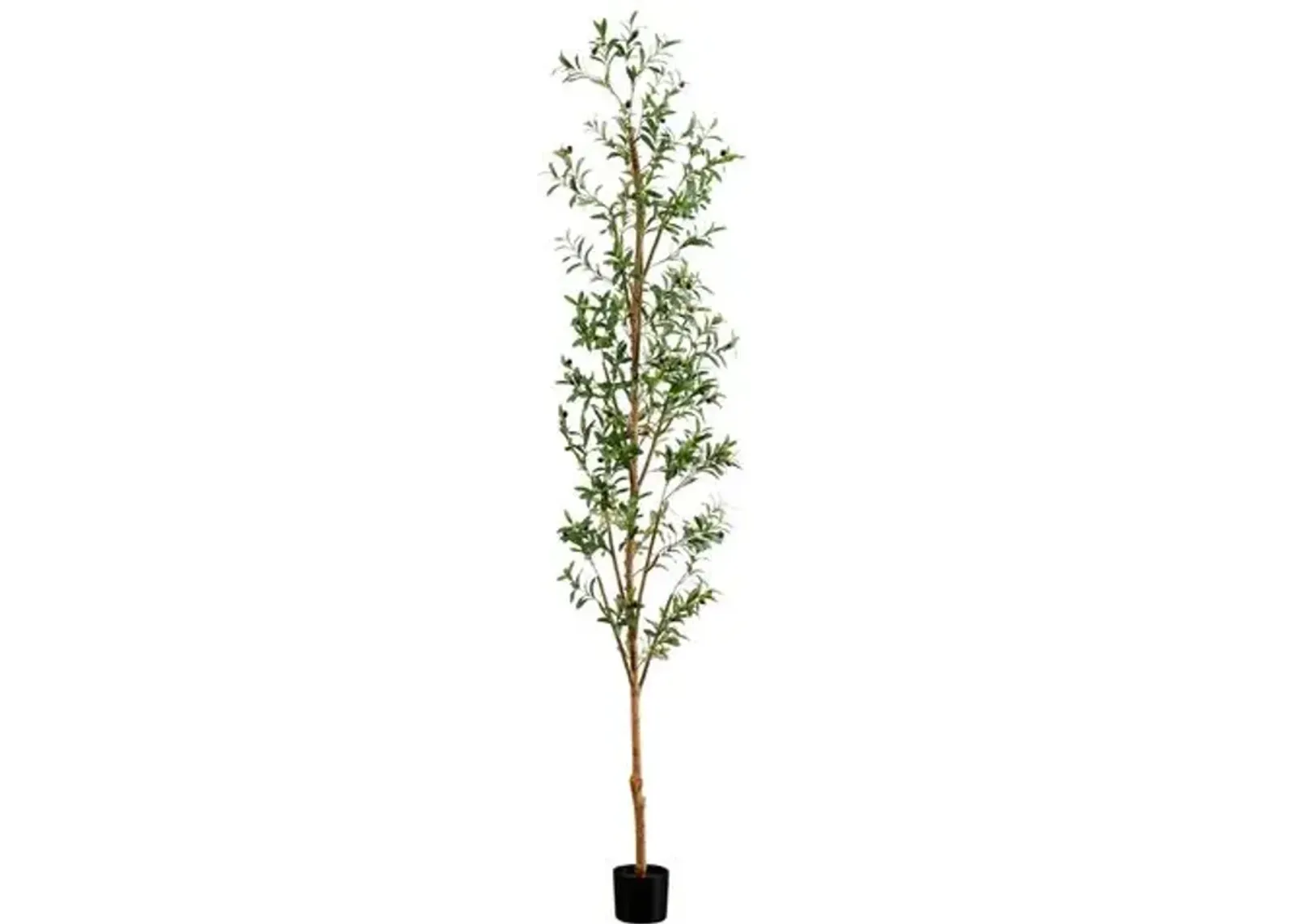 9ft. Artificial Olive Tree with Natural Trunk - Green