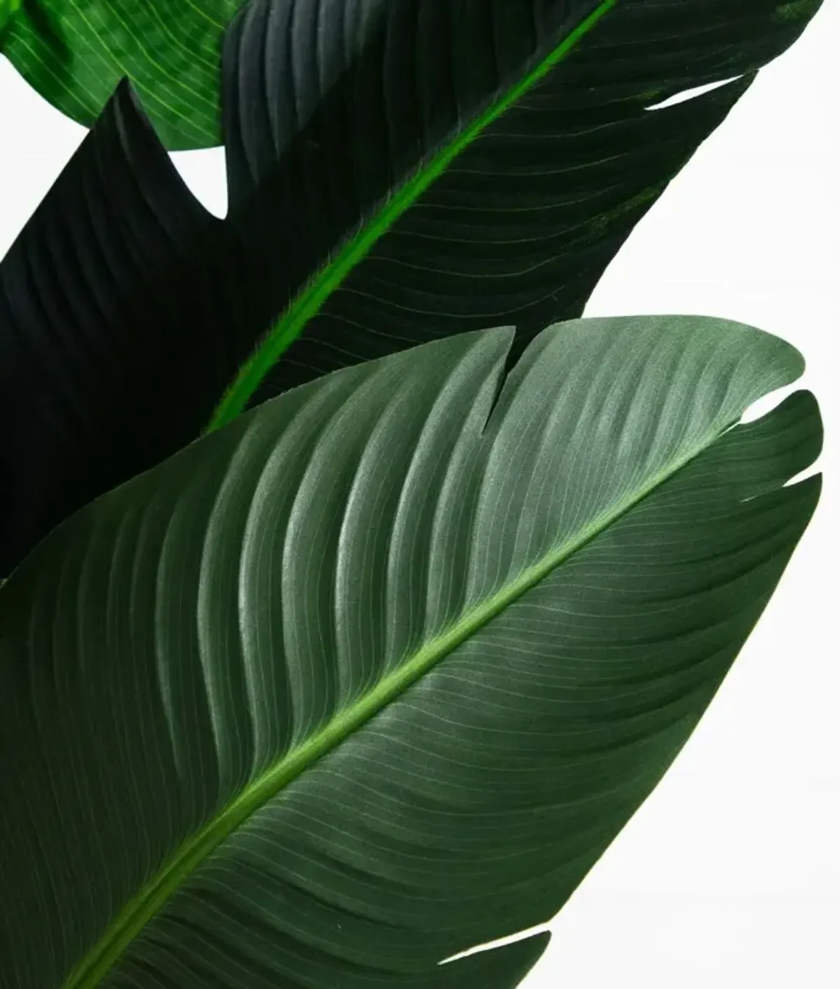 9ft. Artificial Travelers Palm Tree