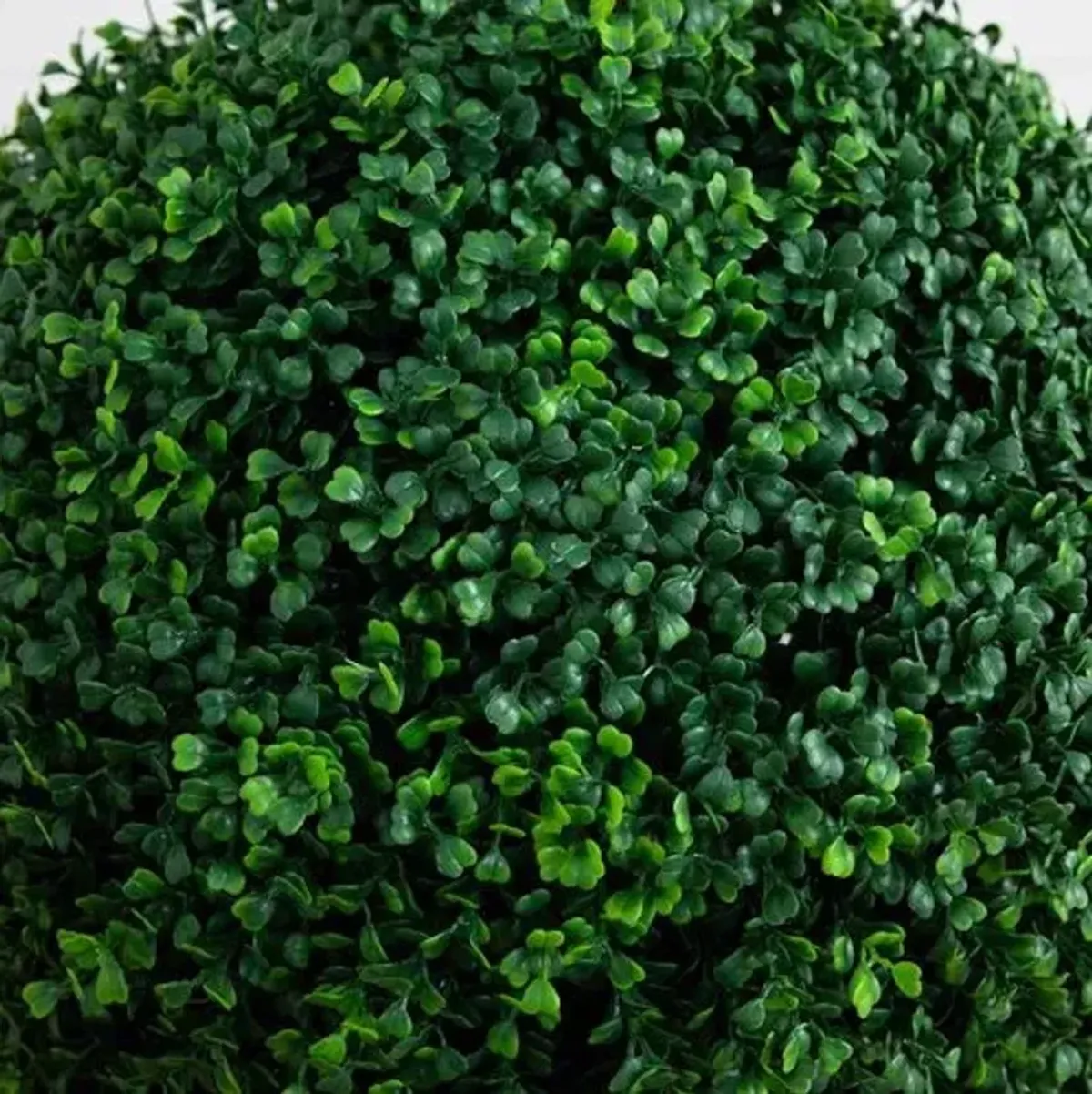 6ft. Artificial Triple Ball Boxwood Topiary Tree - Indoor/Outdoor - Green