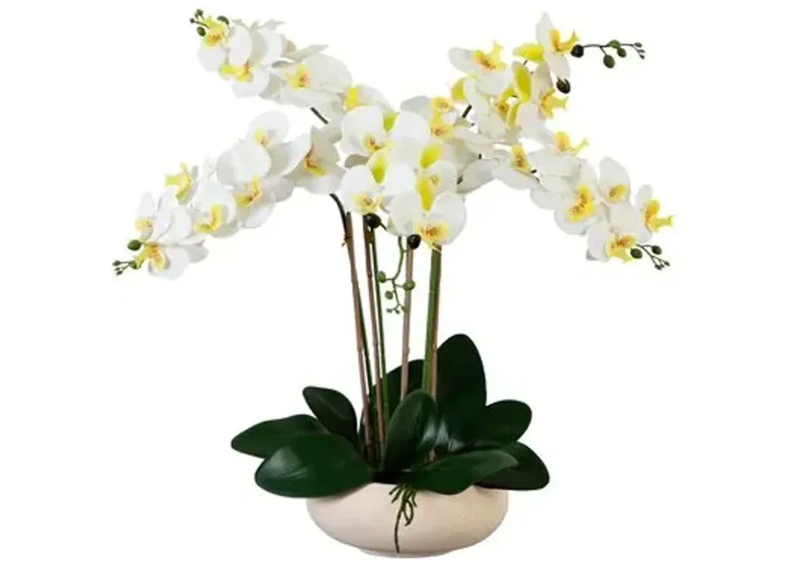 23in. Artificial Phalaenopsis Orchid Arrangement - White