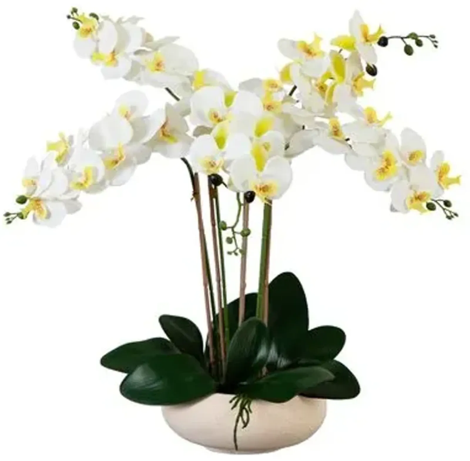 23in. Artificial Phalaenopsis Orchid Arrangement - White