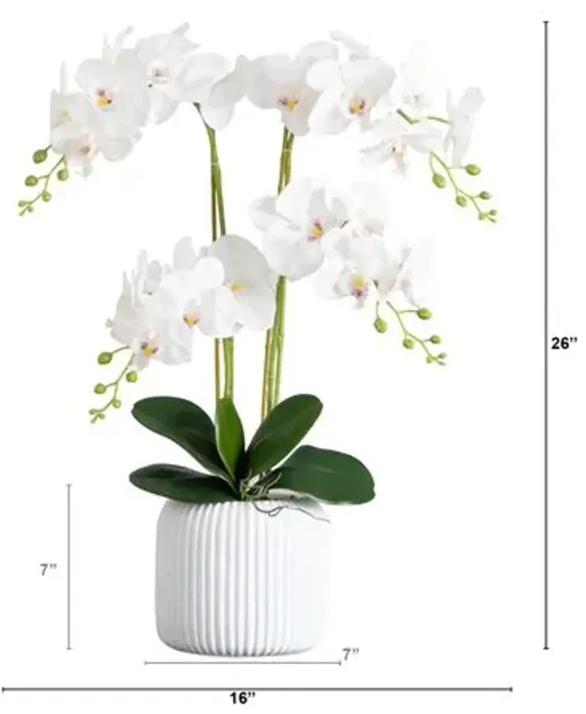 26in. Artificial Phalaenopsis Orchid Arrangement - Green