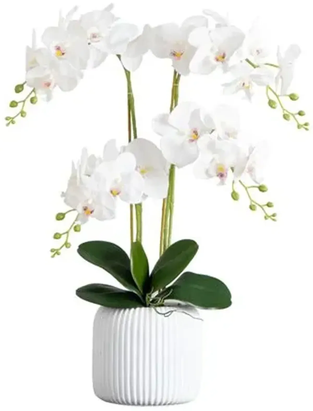 26in. Artificial Phalaenopsis Orchid Arrangement - Green