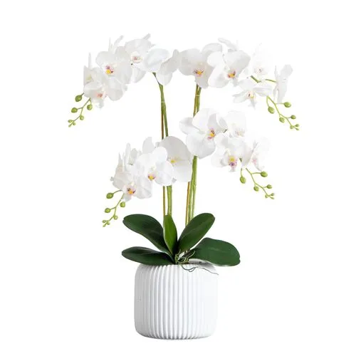 26in. Artificial Phalaenopsis Orchid Arrangement - Green