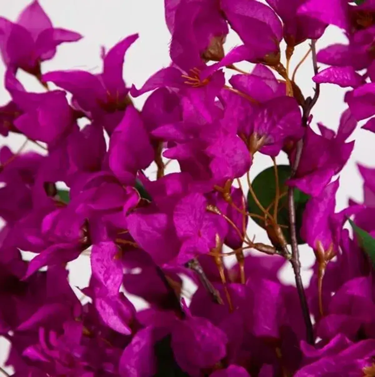 30in. Artificial Bougainvillea Arrangement in Glass Vase - Green