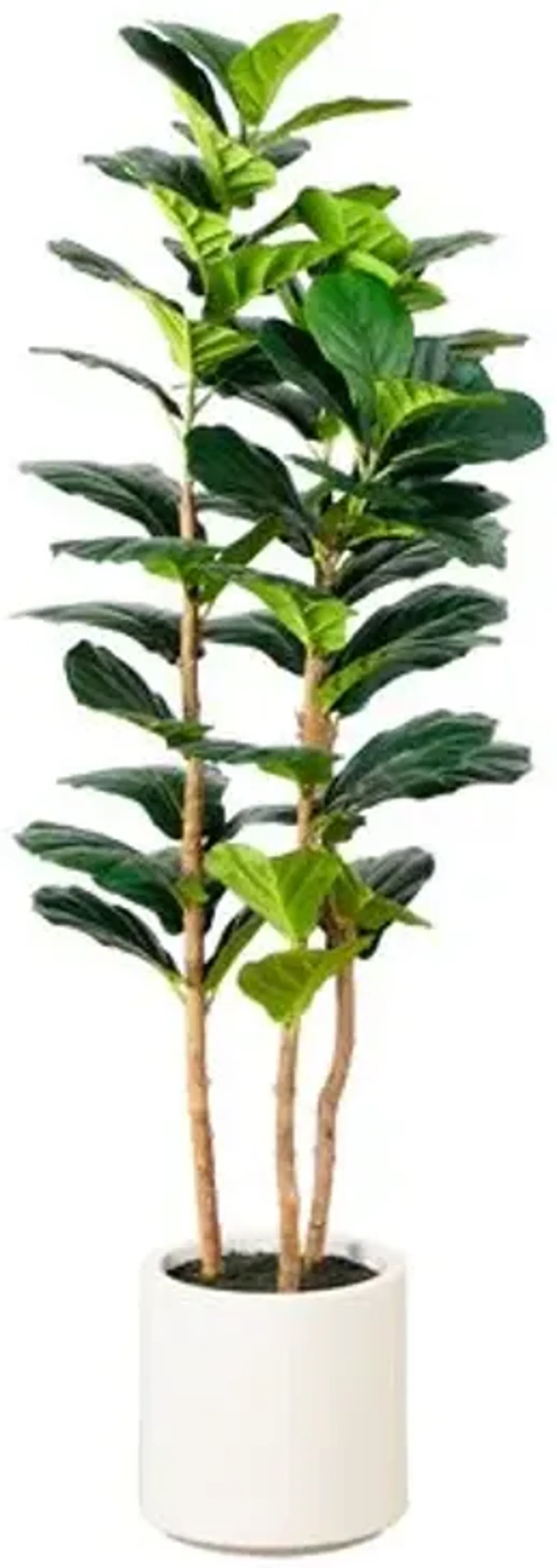 5ft. Artificial Fiddle Leaf Tree in Decorative White Planter - Green - 60Hx20Wx20D in