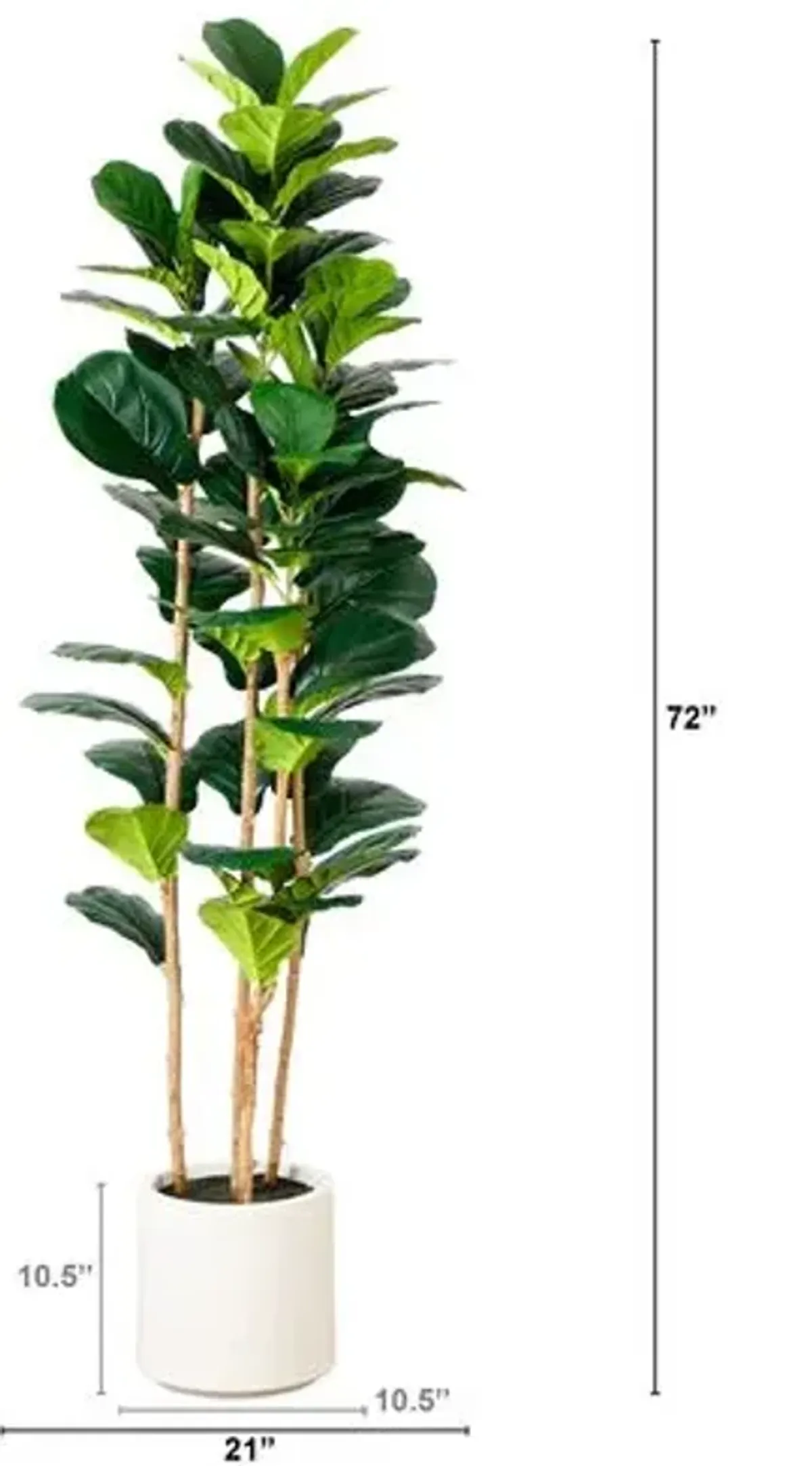 6ft. Artificial Fiddle Leaf Tree in Decorative White Planter - Green - 72Hx21Wx21D in