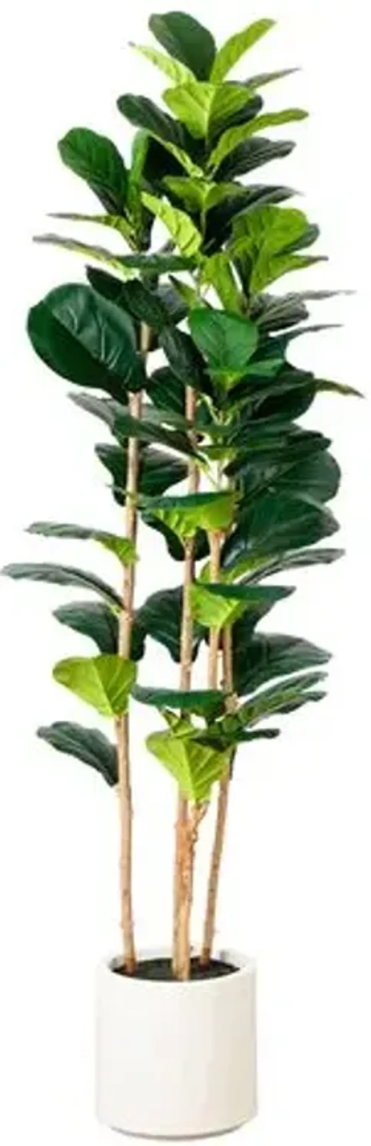 6ft. Artificial Fiddle Leaf Tree in Decorative White Planter - Green - 72Hx21Wx21D in