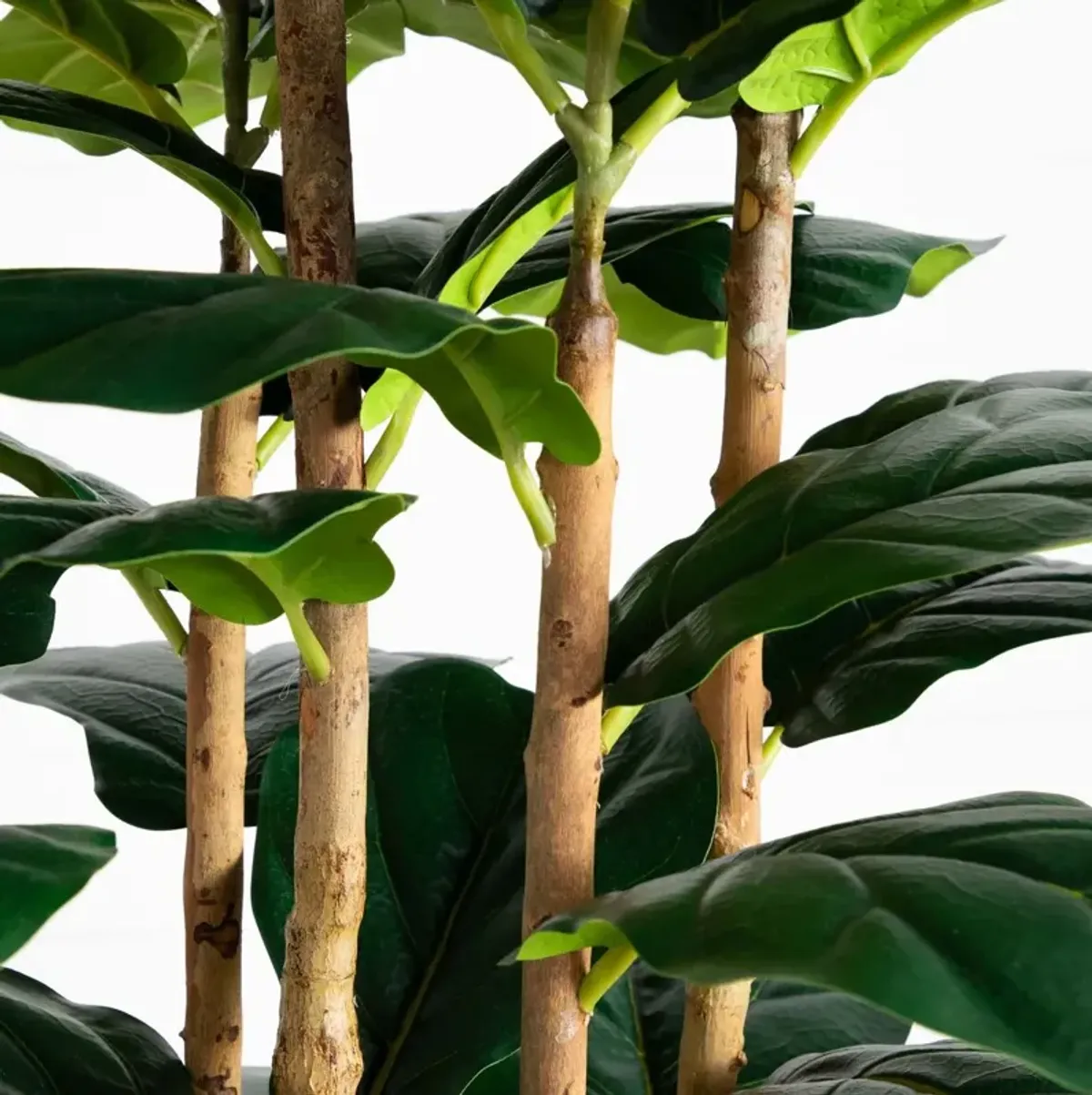 7ft. Artificial Fiddle Leaf Tree in Decorative White Planter