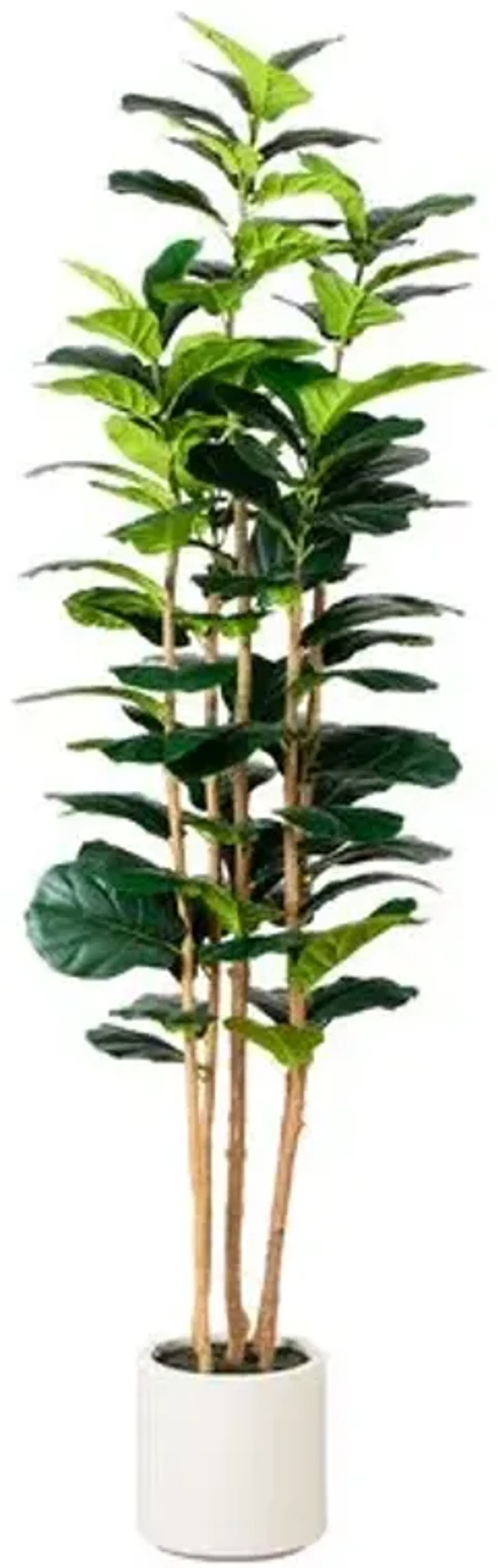 7ft. Artificial Fiddle Leaf Tree in Decorative White Planter - Green - 84Hx23Wx23D in