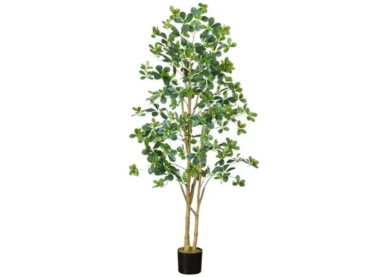 6ft. Artificial Black Olive Tree - Green