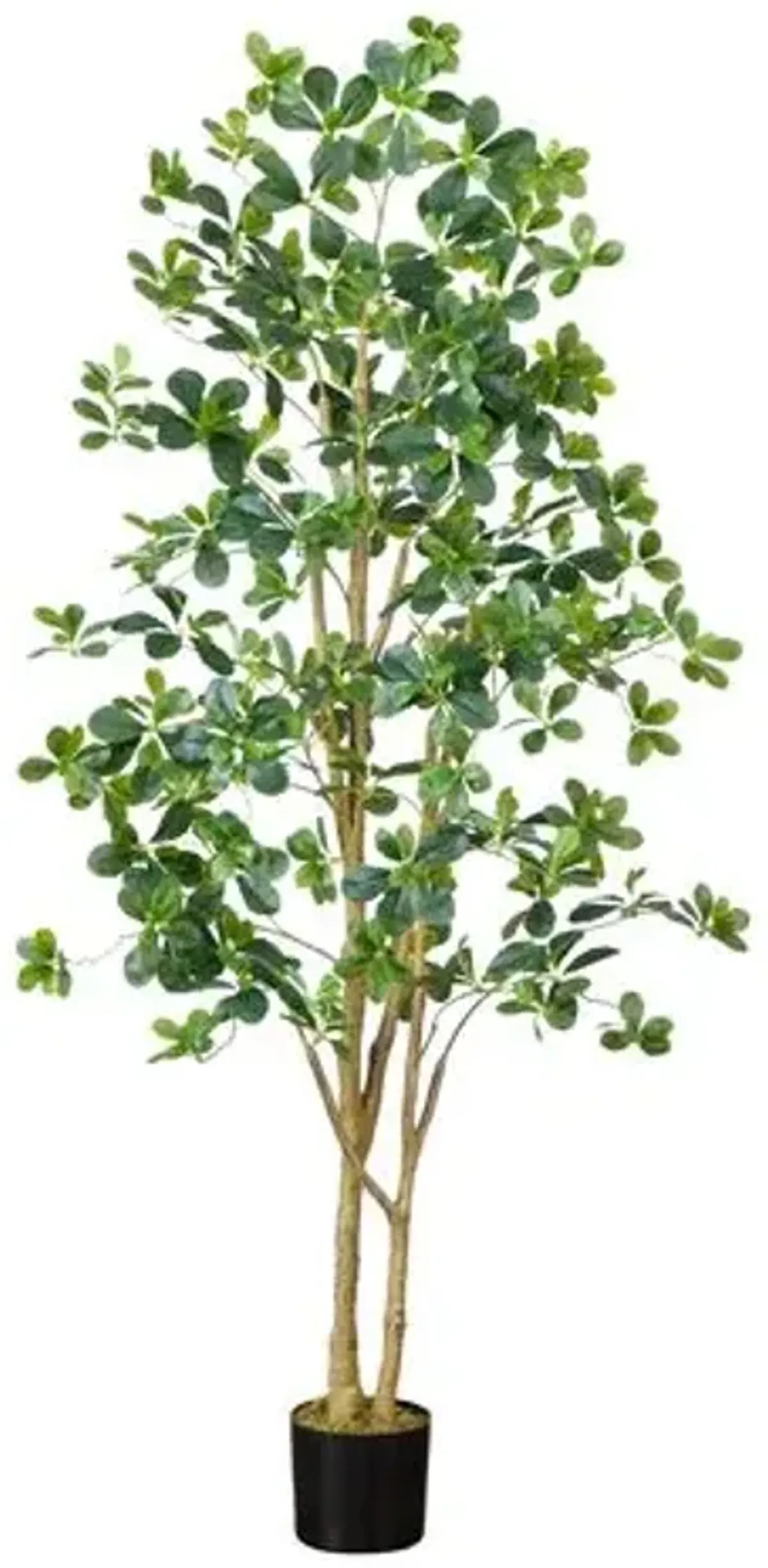 6ft. Artificial Black Olive Tree - Green