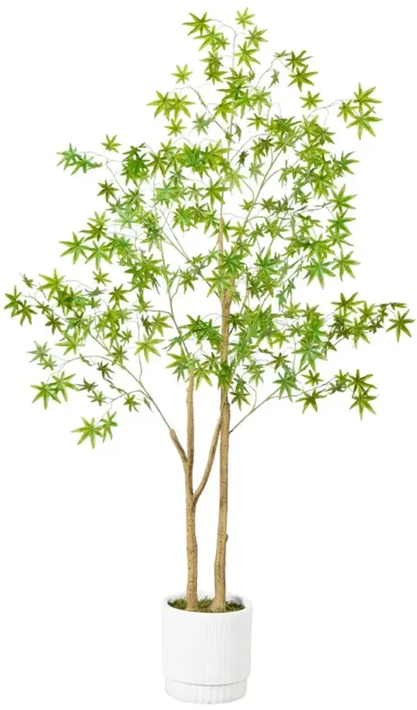 6ft. Artificial Maple Tree with White Planter