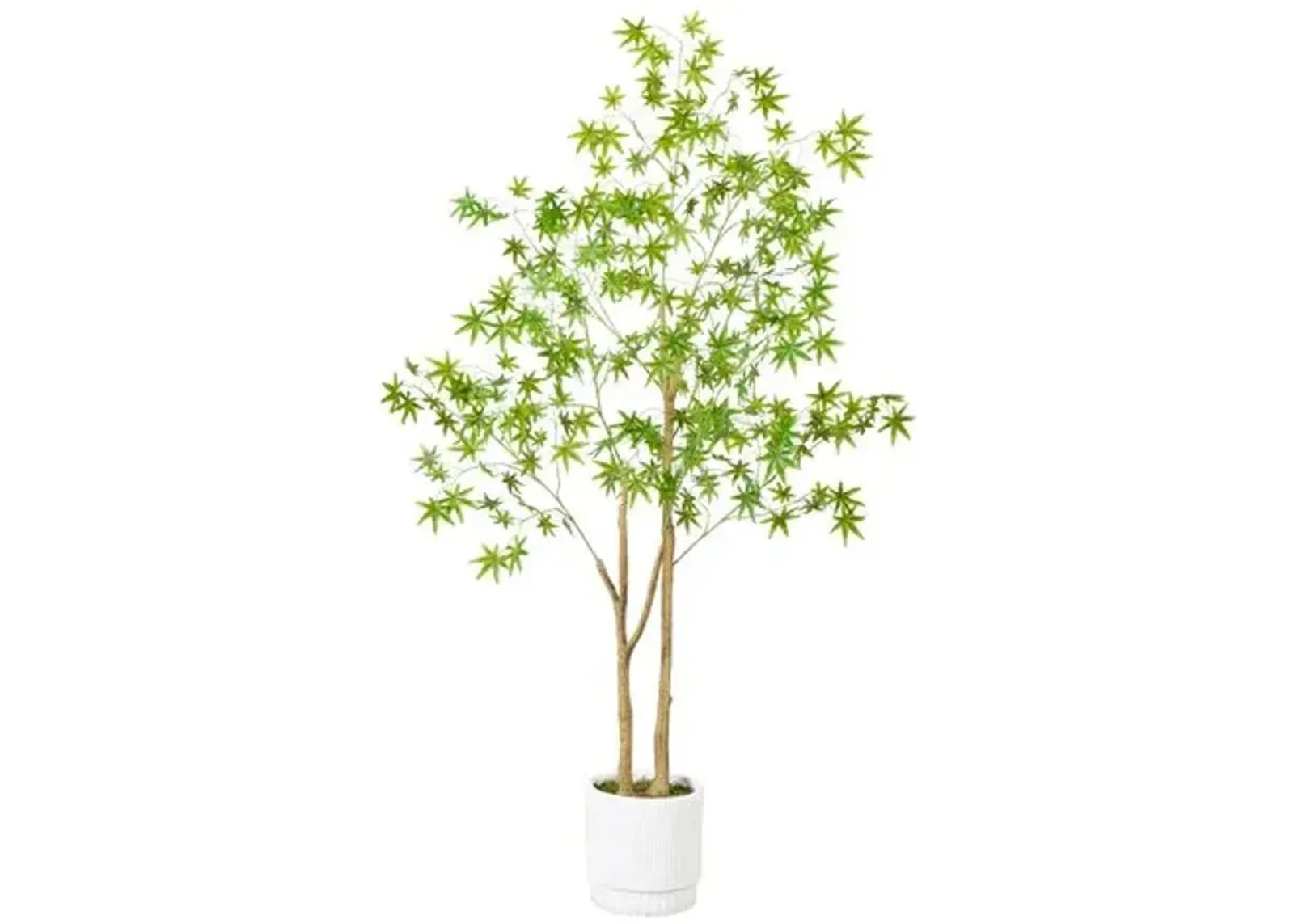 6ft. Artificial Maple Tree with White Planter - Green - 72Hx35Wx35D in