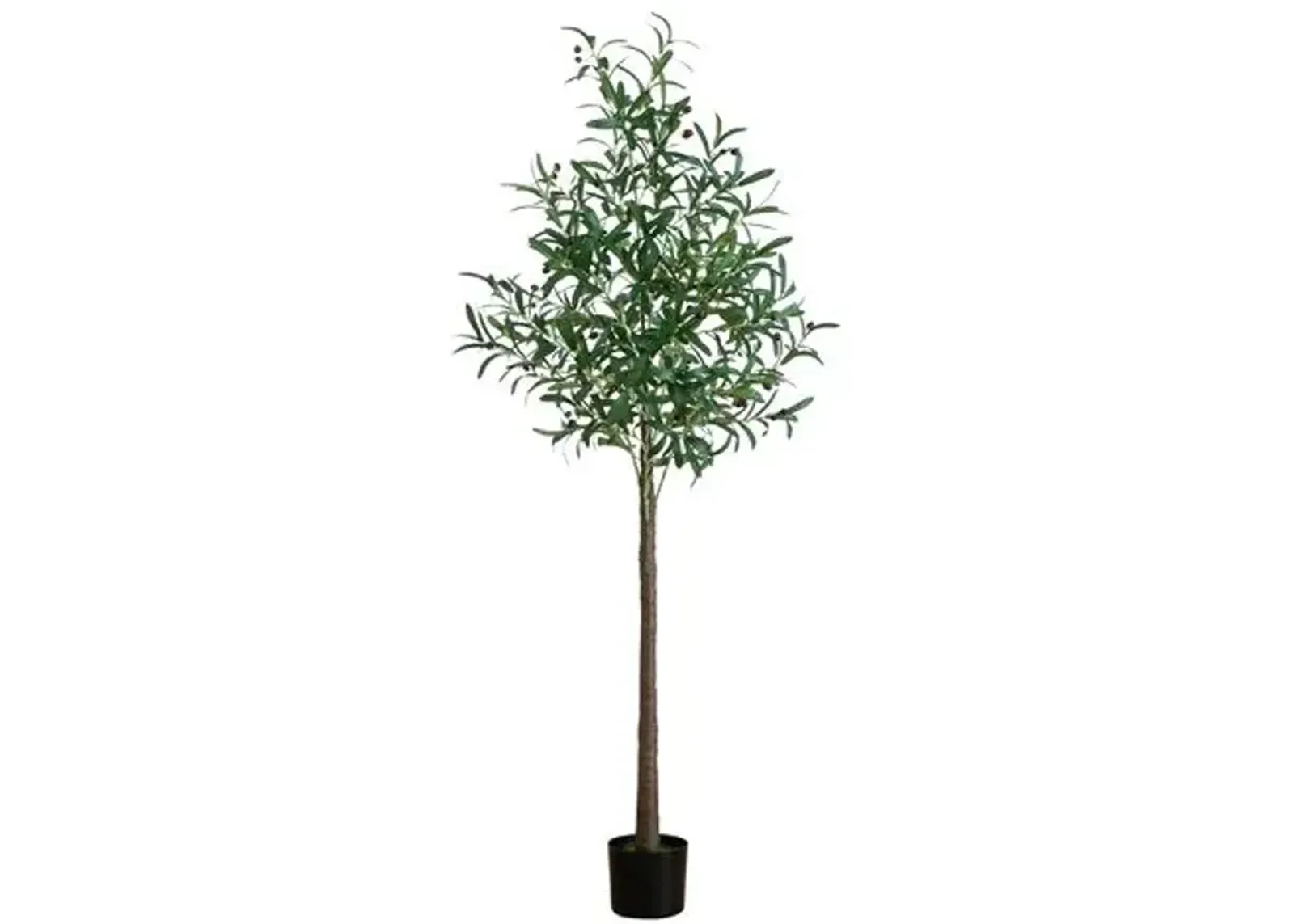 6ft. Lighted Artificial Olive Tree - Green