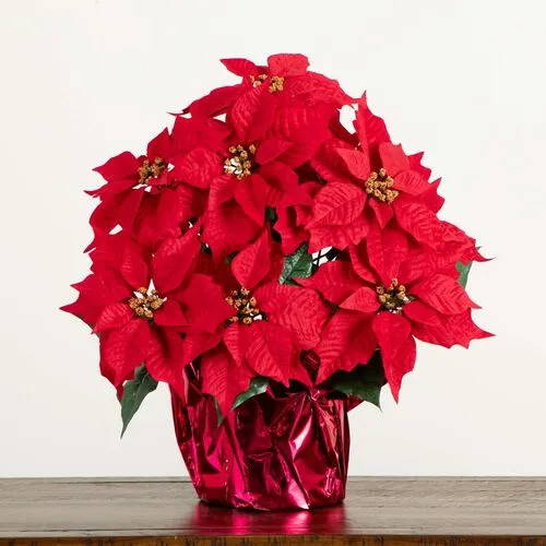 19in. Artificial Lush Poinsettia Arrangement - Green