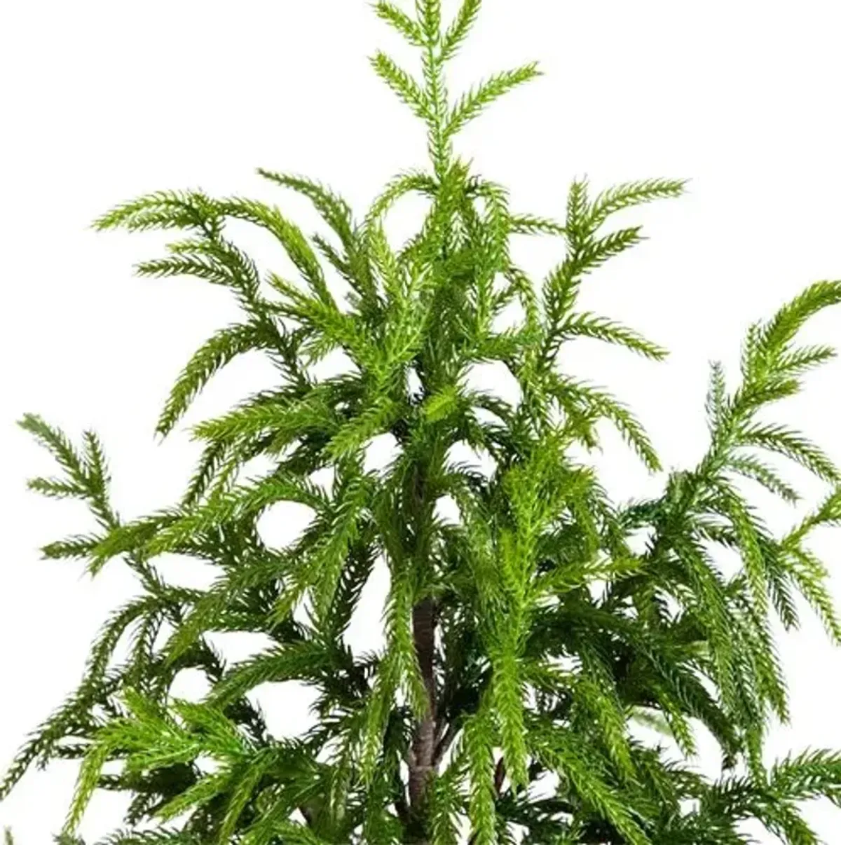 4ft. Artificial Norfolk Pine Tree - Green