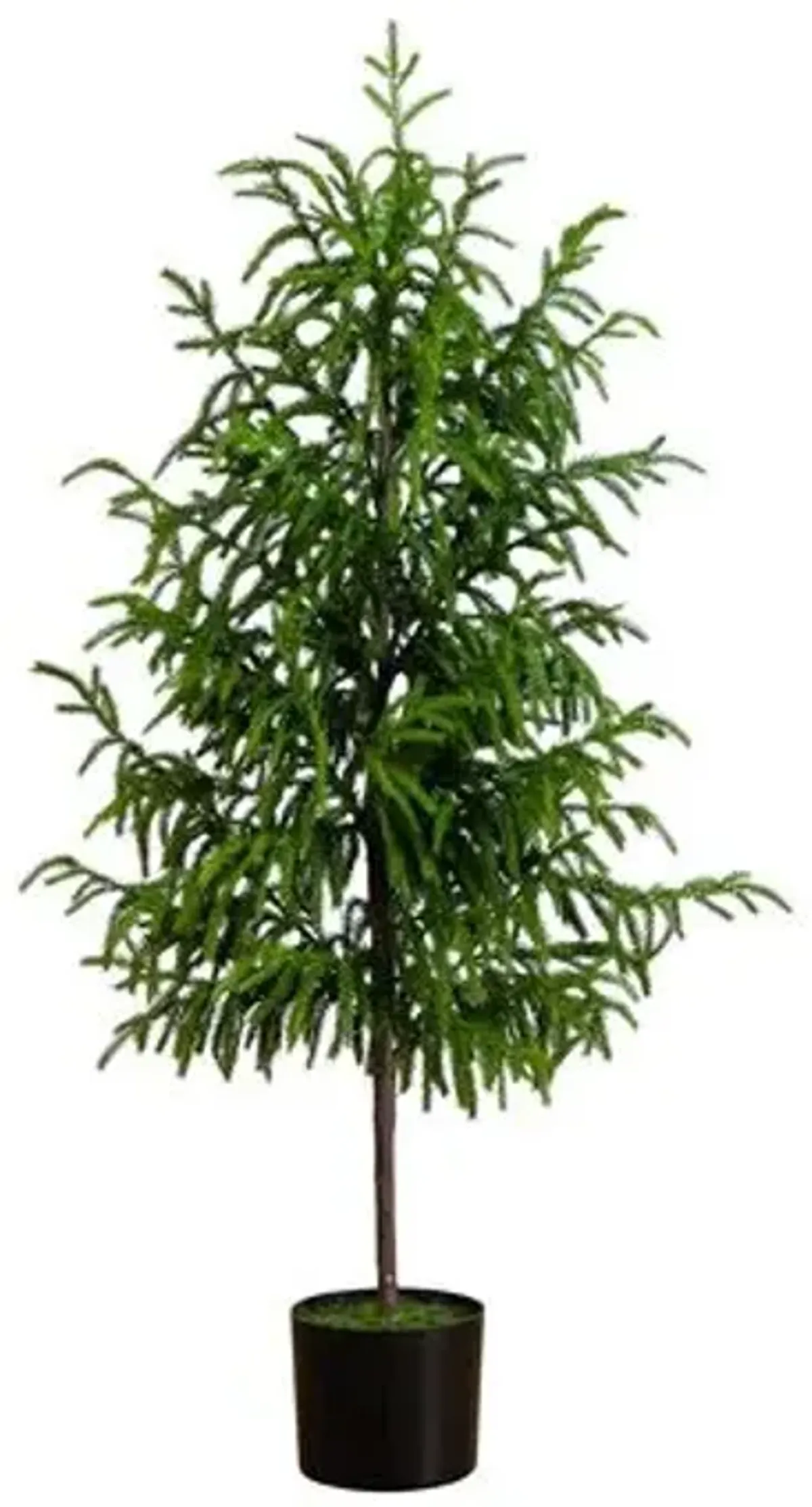 4ft. Artificial Norfolk Pine Tree - Green