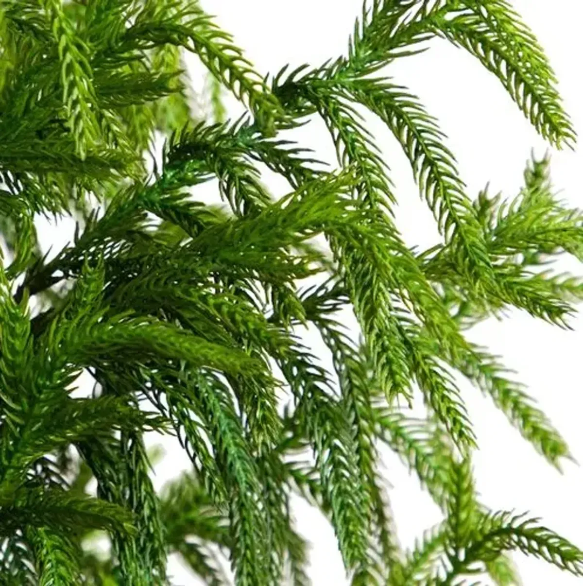 5ft. Artificial Norfolk Pine Tree - Green