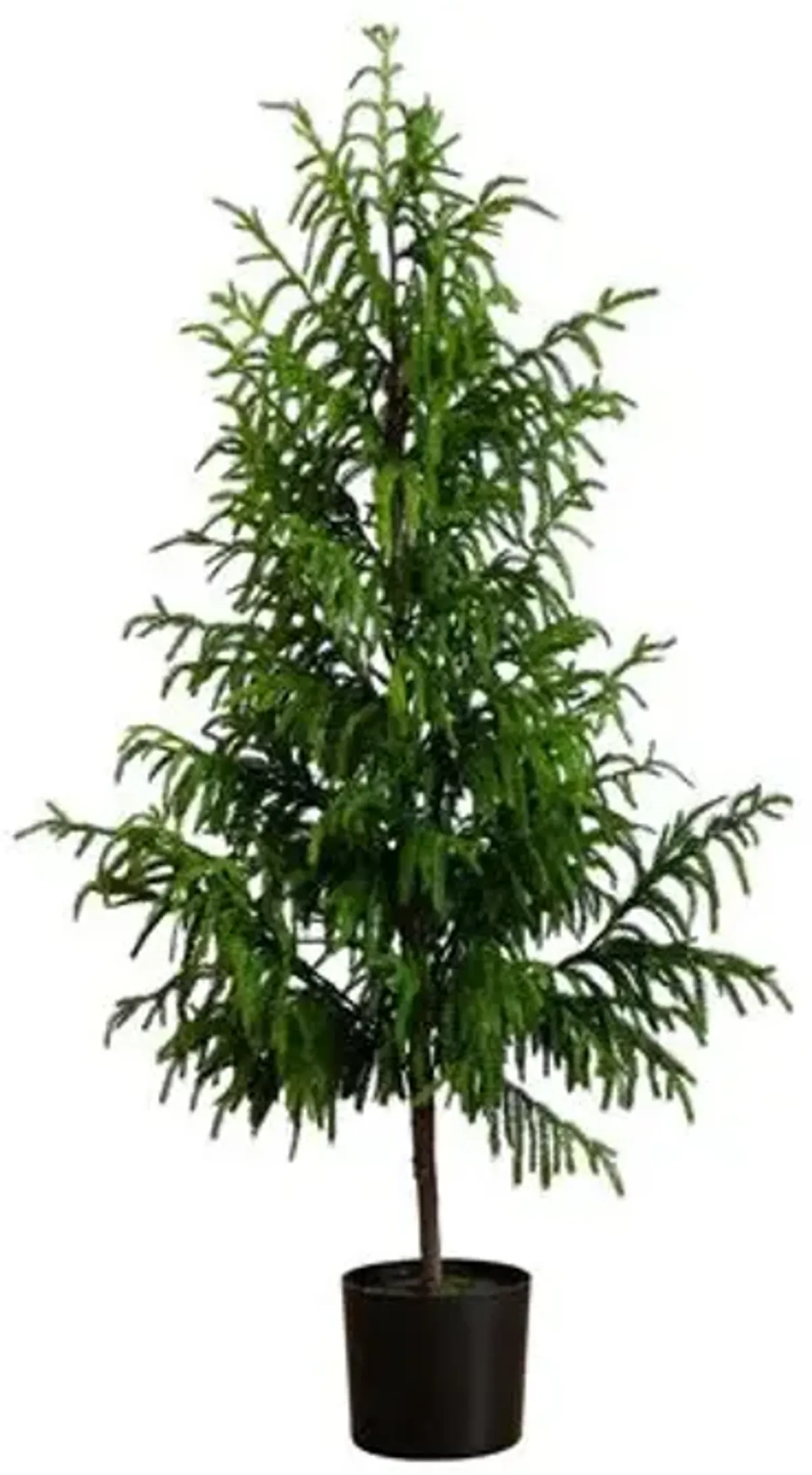 5ft. Artificial Norfolk Pine Tree - Green