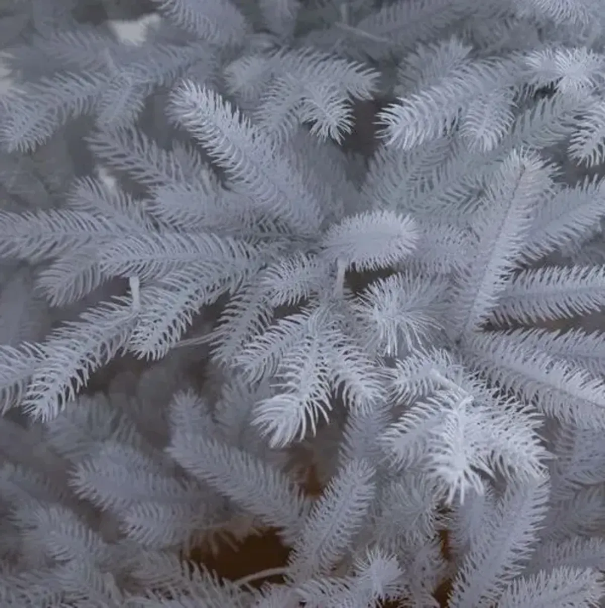 7ft. Pre-Lit Artificial White California Spruce Christmas Tree - Green