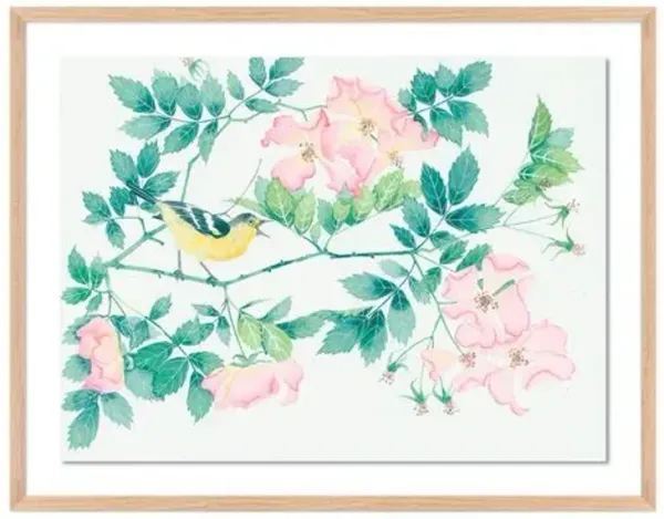 Gabby Malpas - Briar Roses and Songbird Painting - Pink