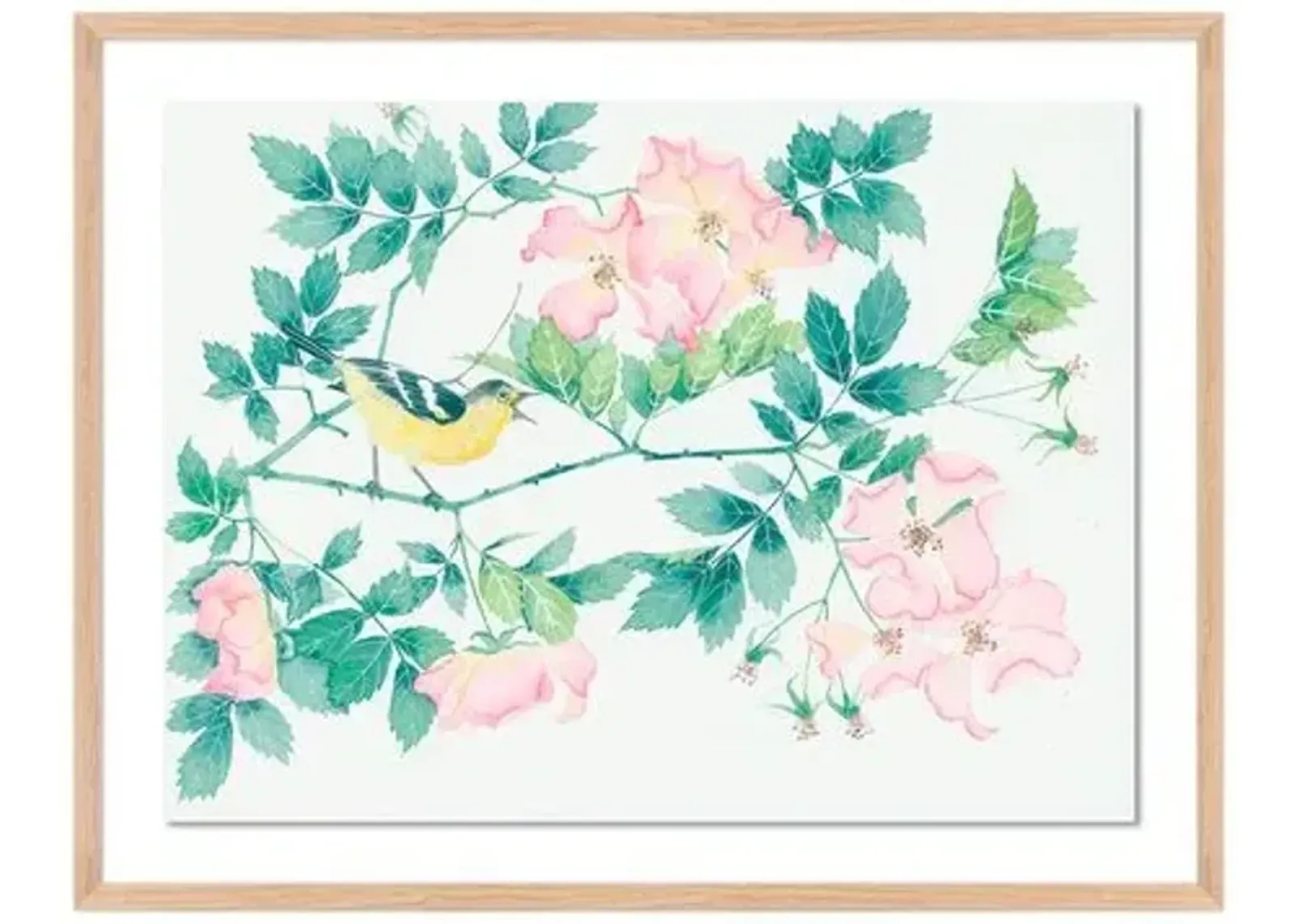 Gabby Malpas - Briar Roses and Songbird - Pink