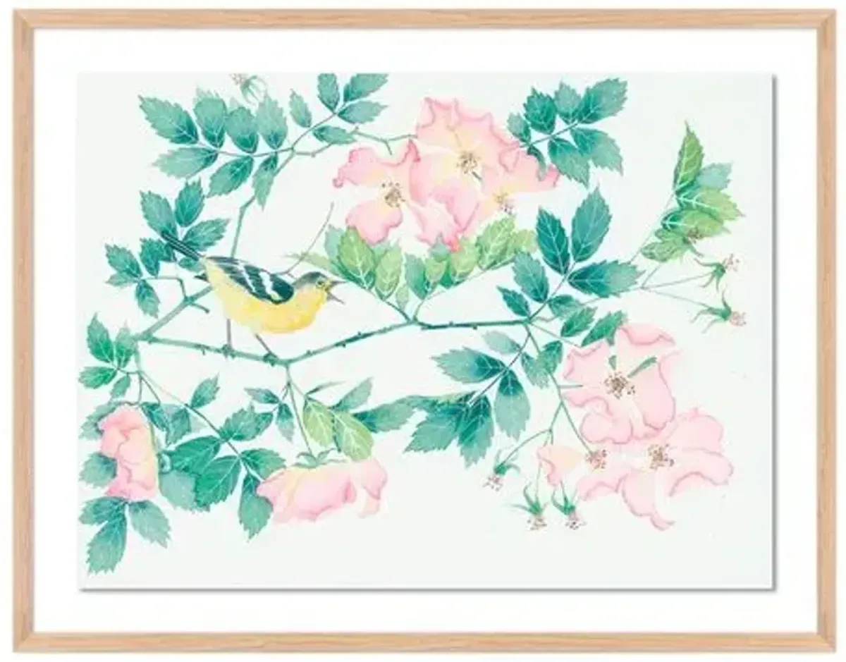 Gabby Malpas - Briar Roses and Songbird Painting - Pink