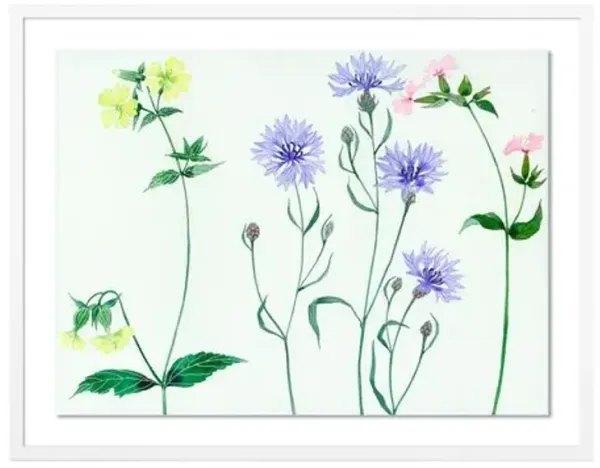 Gabby Malpas - Meadow Flowers 2 Painting - Pink