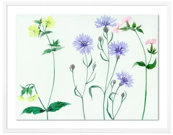 Gabby Malpas, Meadow Flowers 2 Painting