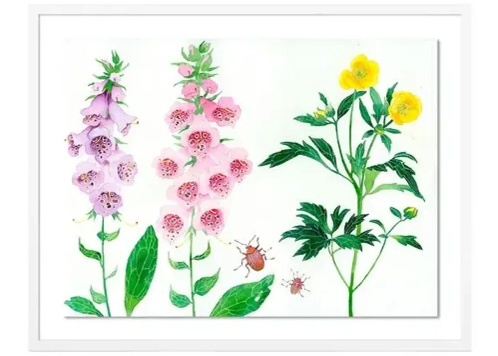 Gabby Malpas - Meadow Flowers 4 - Pink