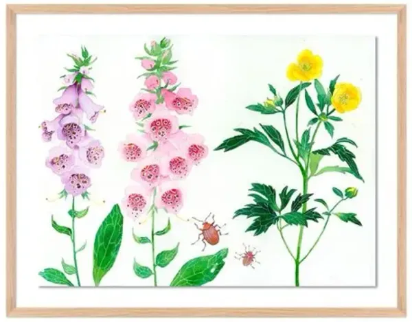 Gabby Malpas - Meadow Flowers 4 Painting - Pink