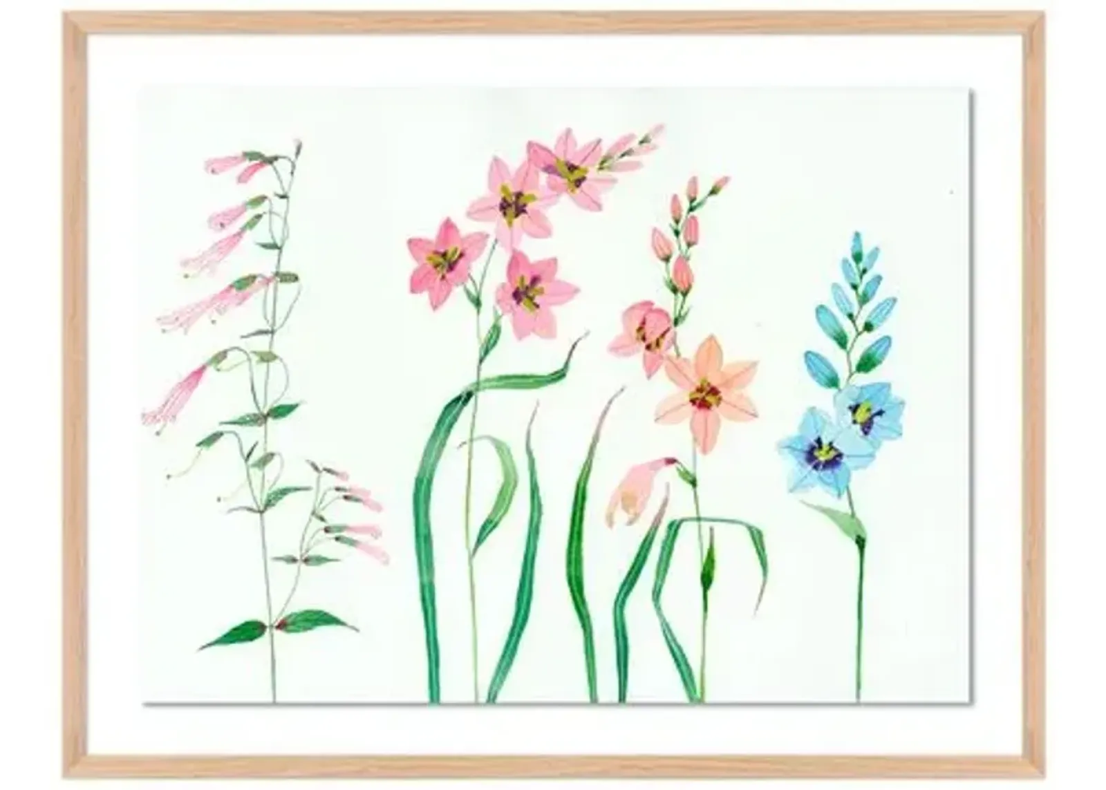 Gabby Malpas - Meadow Flowers 6 - Pink