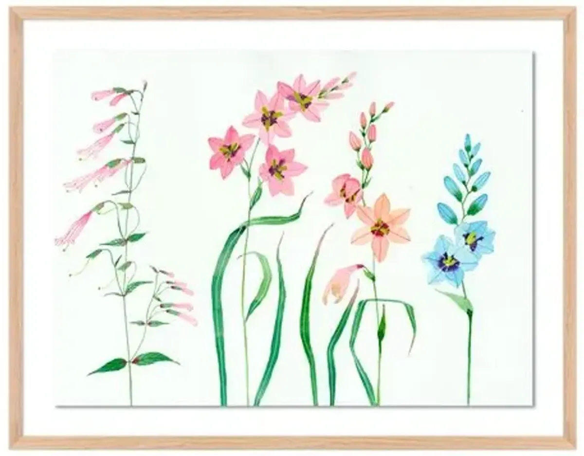 Gabby Malpas - Meadow Flowers 6 - Pink