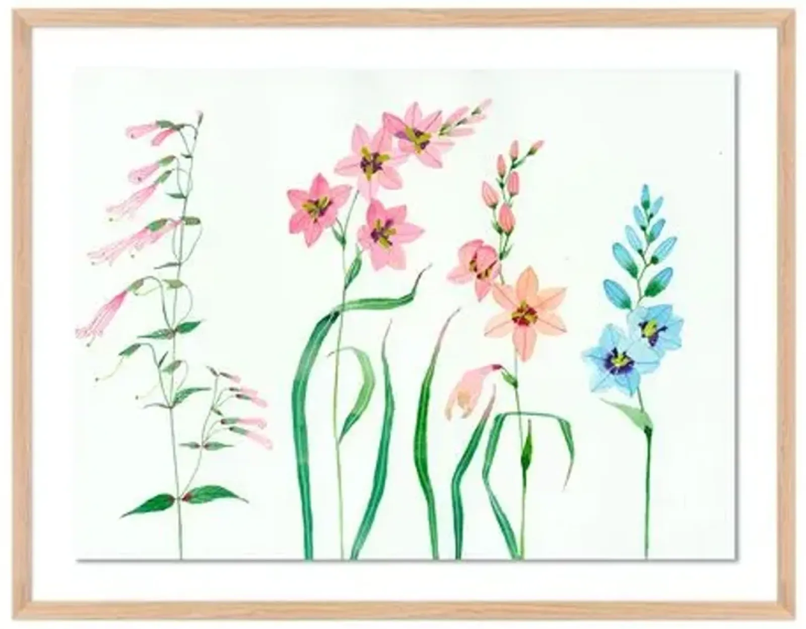 Gabby Malpas - Meadow Flowers 6 - Pink