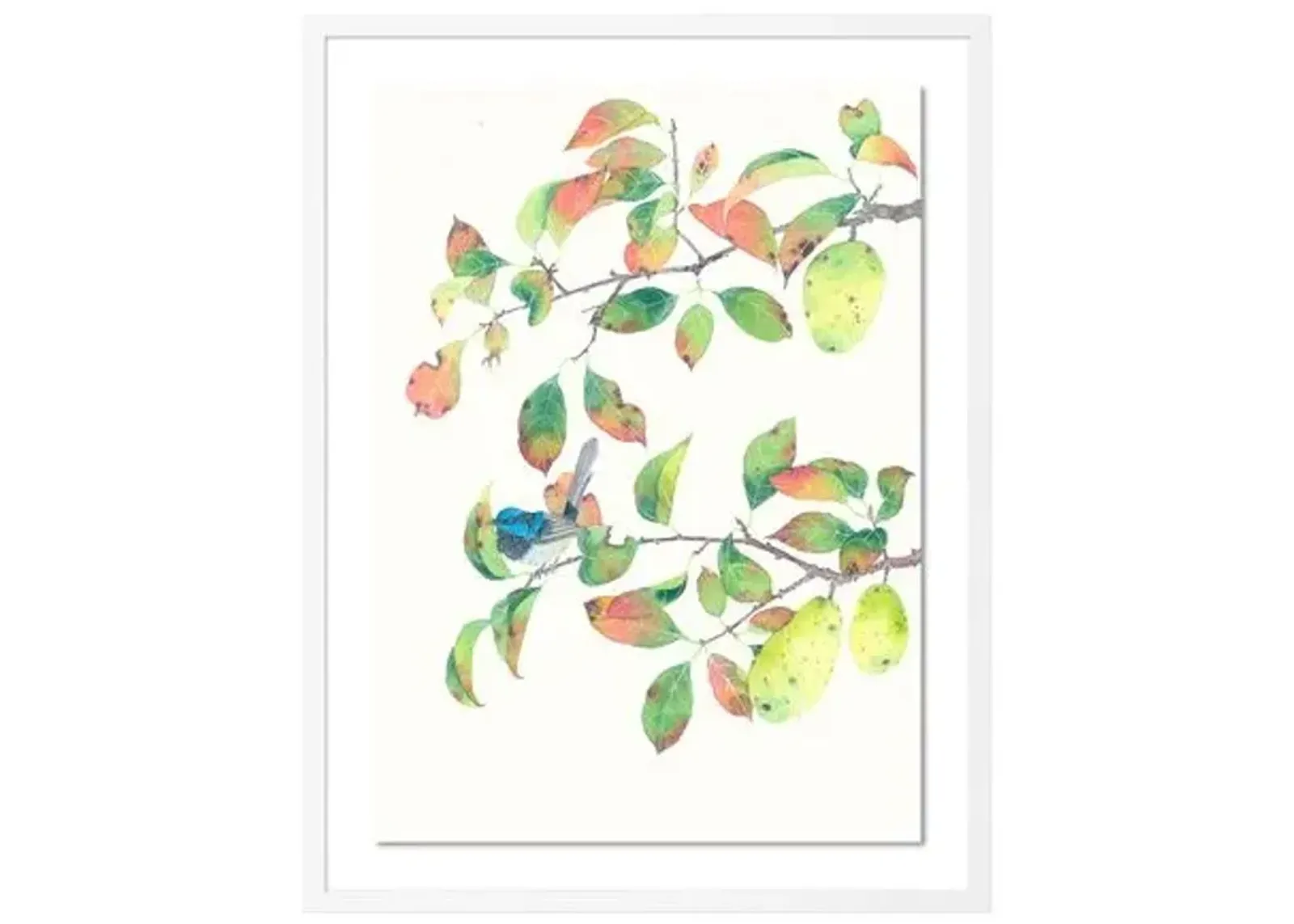 Gabby Malpas - Autumn Crabapples and Blue Wren - Green