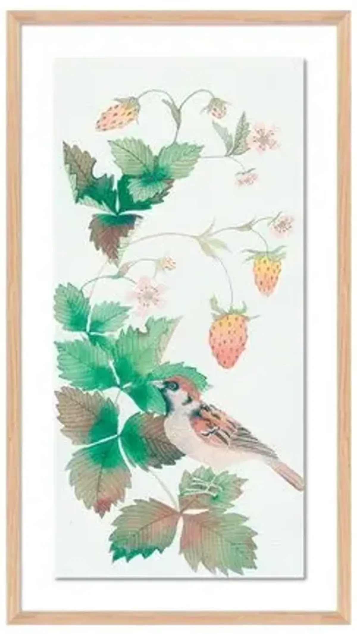 Gabby Malpas - Sparrow and Strawberries - Red