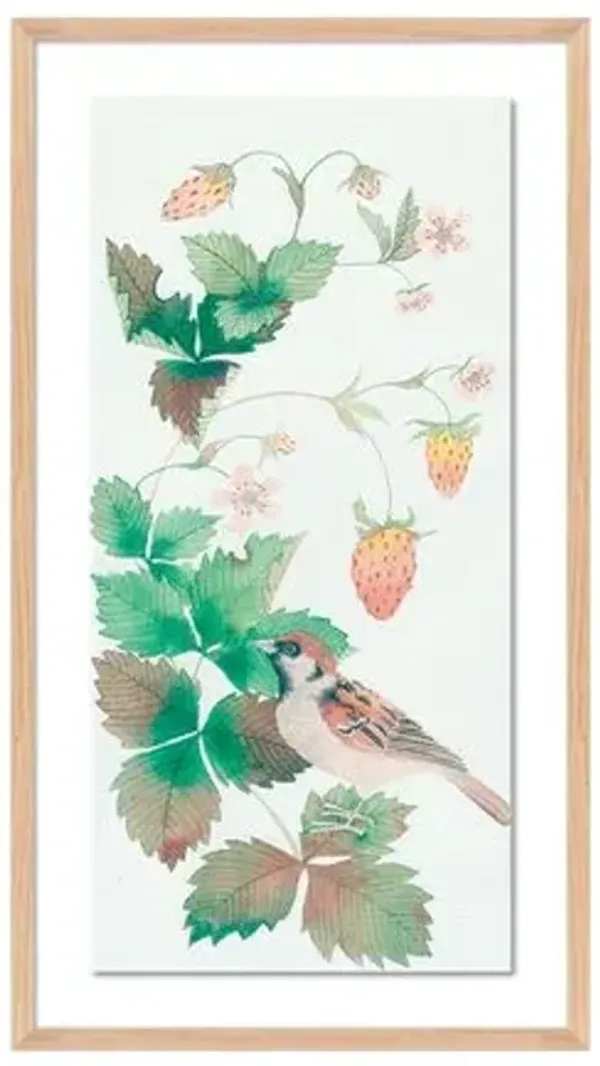 Gabby Malpas - Sparrow and Strawberries Painting - Red
