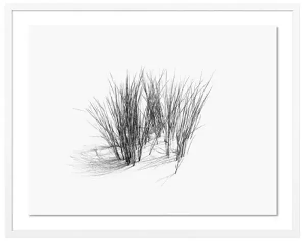 Tommy Kwak - Dunes Photograph - Borkum - Germany - Green