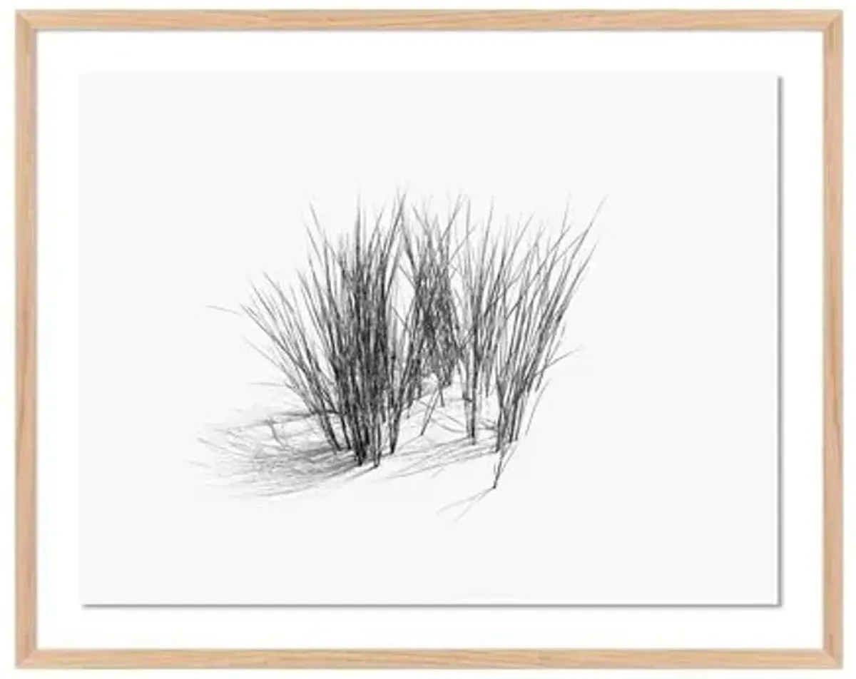 Tommy Kwak - Dunes Photograph - Borkum - Germany - Green