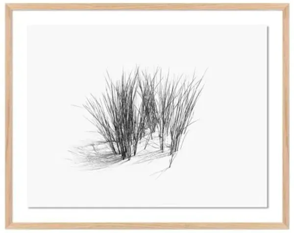 Tommy Kwak - Dunes Photograph - Borkum - Germany - Green
