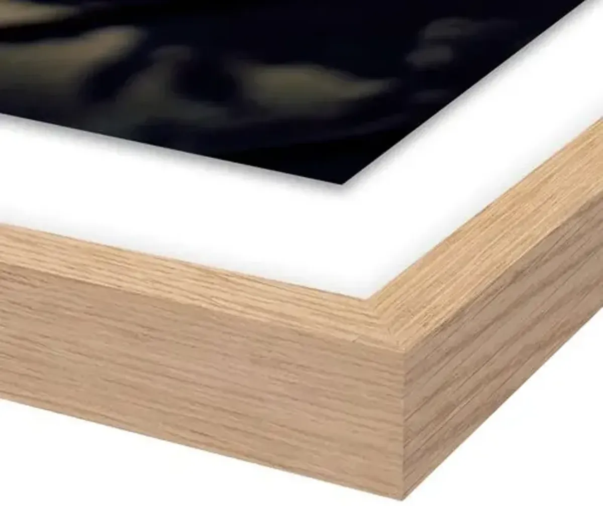 Tommy Kwak - Flowers Photograph - Reykjavik - Iceland - White